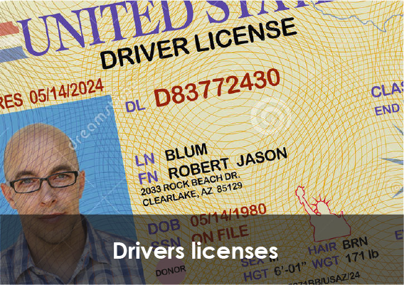 driver-licenses.png